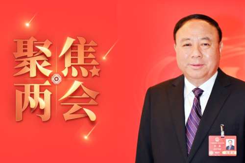 天下人大代表李寅2025年建议之四--尽快解决农林生物质发电可再生能源电价附加津贴拖欠问题，化解行业谋划危害的建议